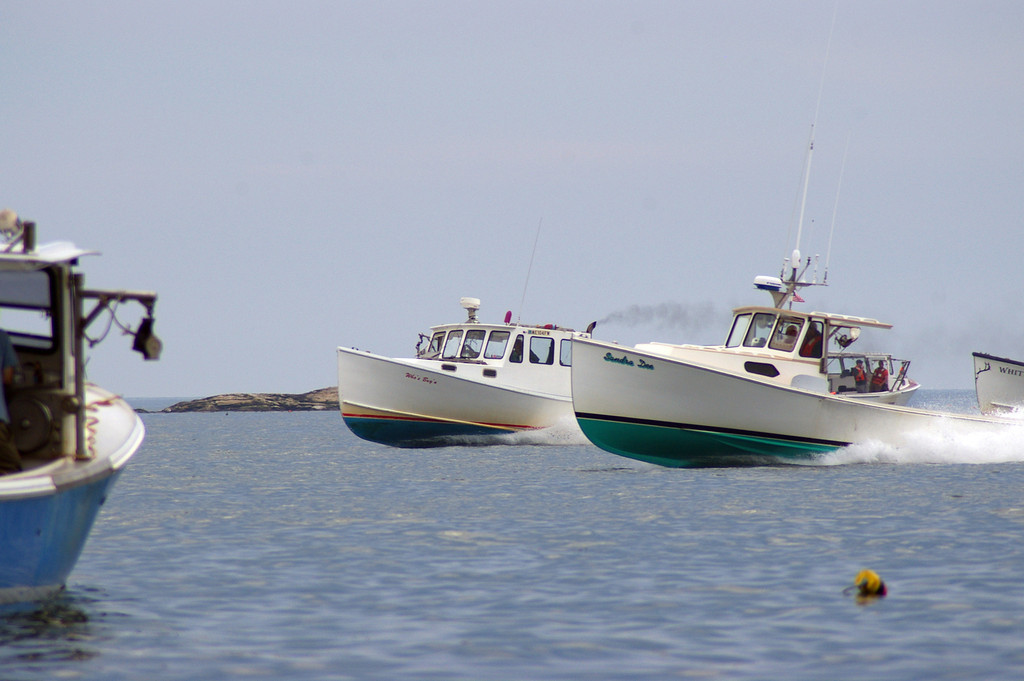 Lobster Boat Races