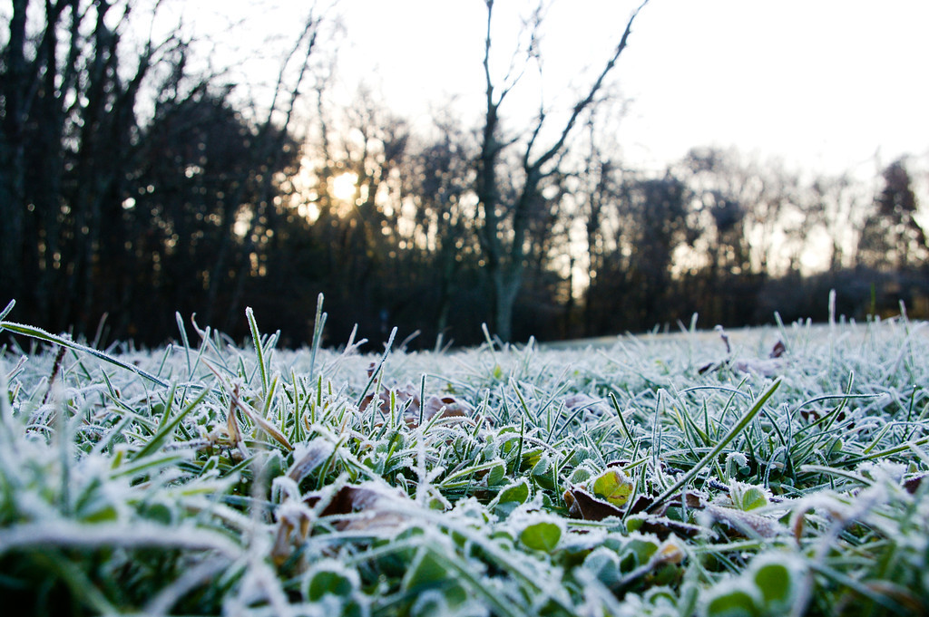 Frosty Ground