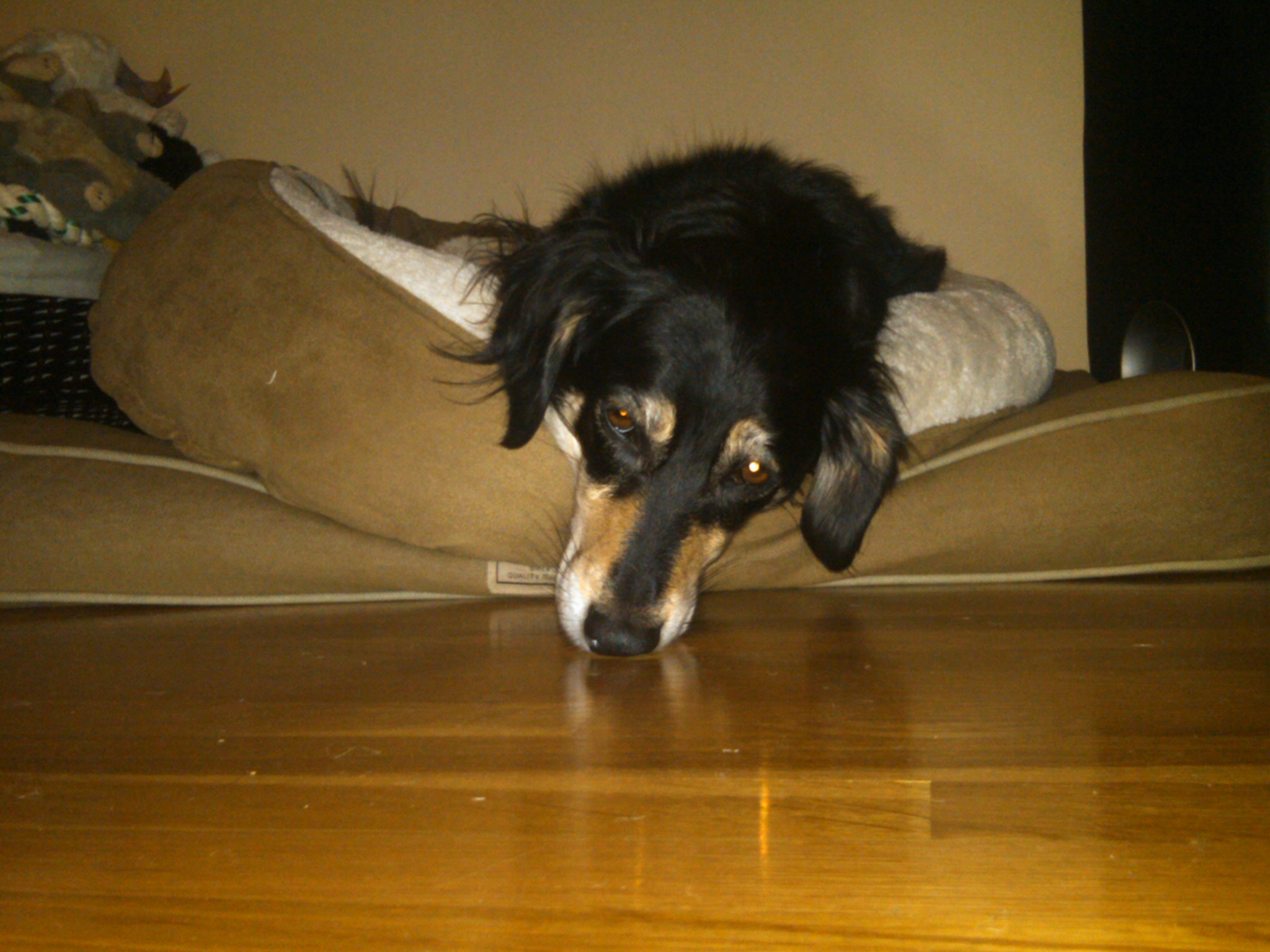 The Holidays are Draining