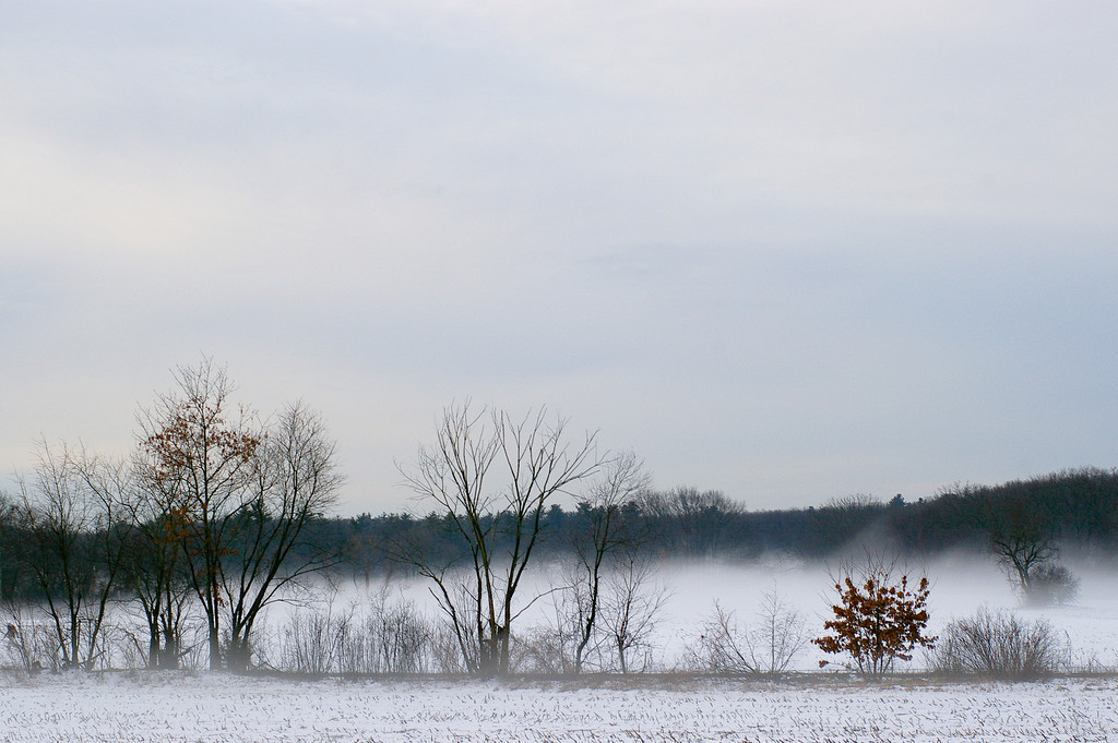 Snow Fog