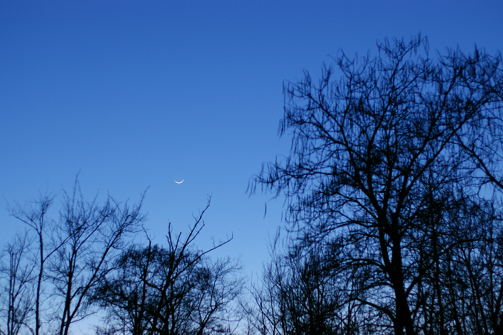 Smiling Moon