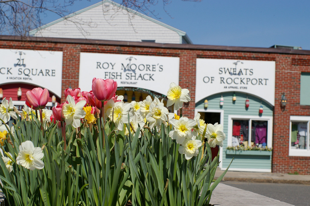 Spring in Rockport