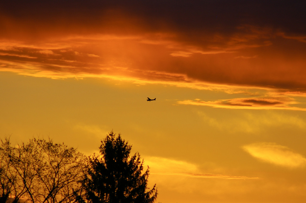 Tiny Little Plane