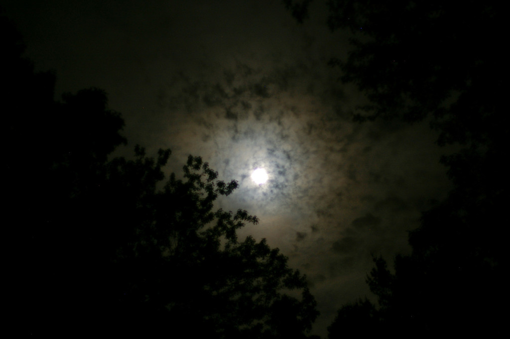 Moonlit Clouds