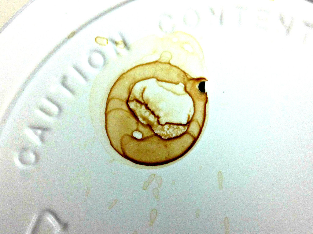 Coffee Splatter