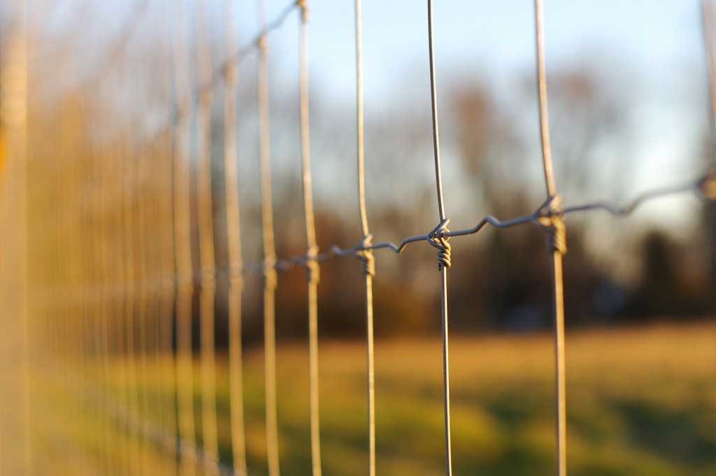 Fading Fence
