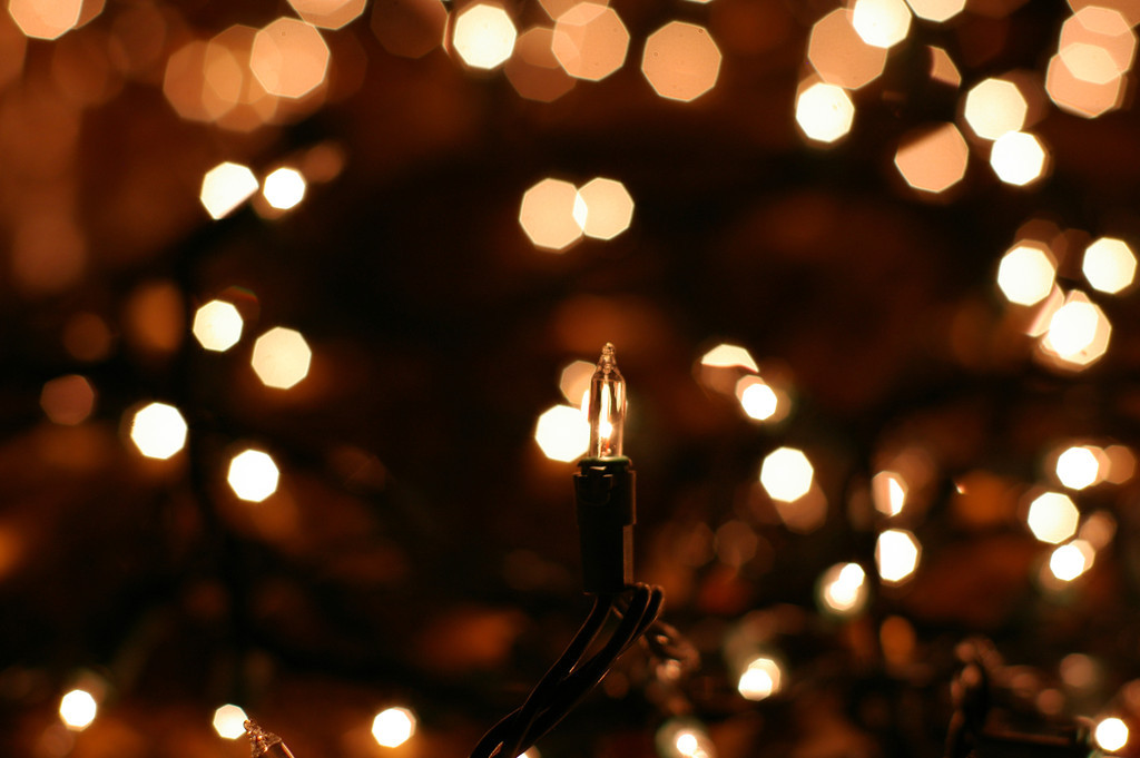 A Christmas Light