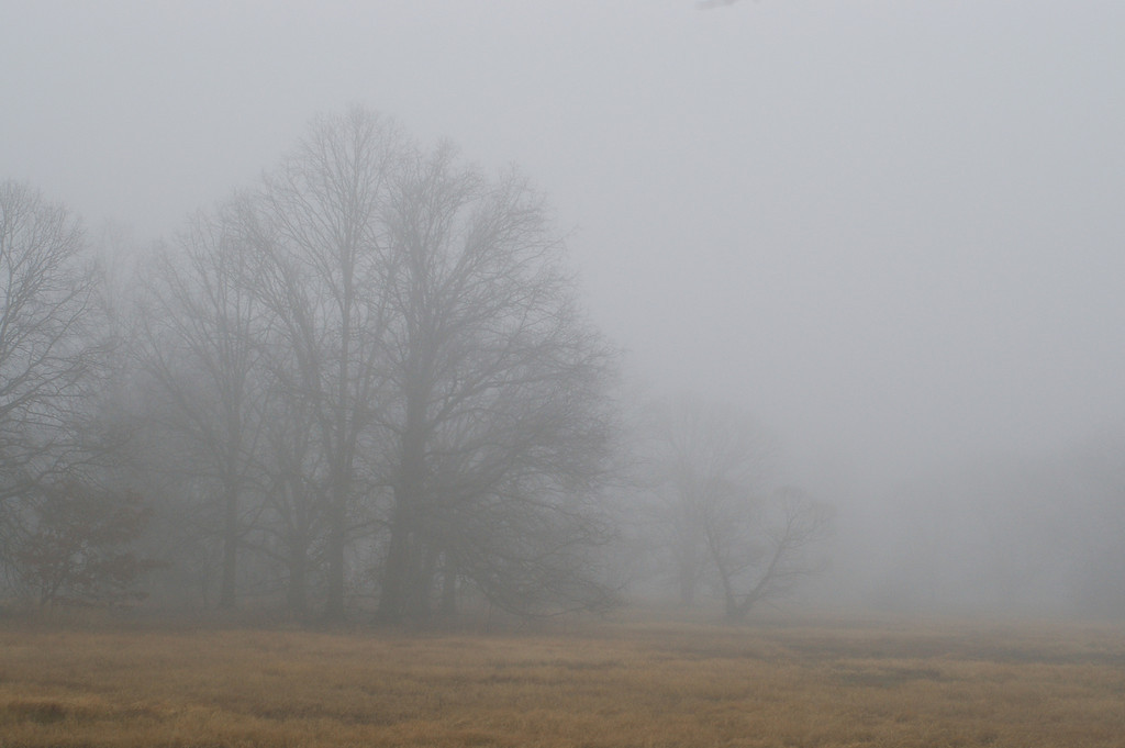Got Fog?