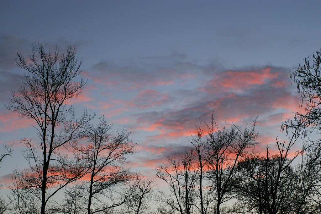 Pink Clouds