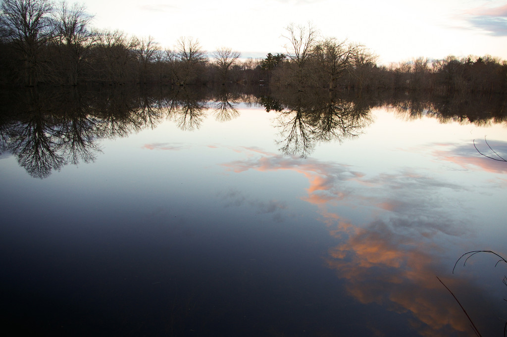 Flood Reflections