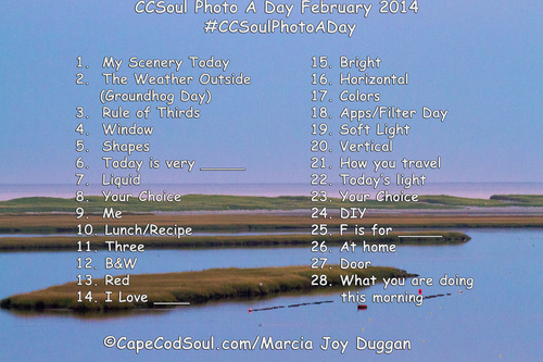 Coastal Square Collection