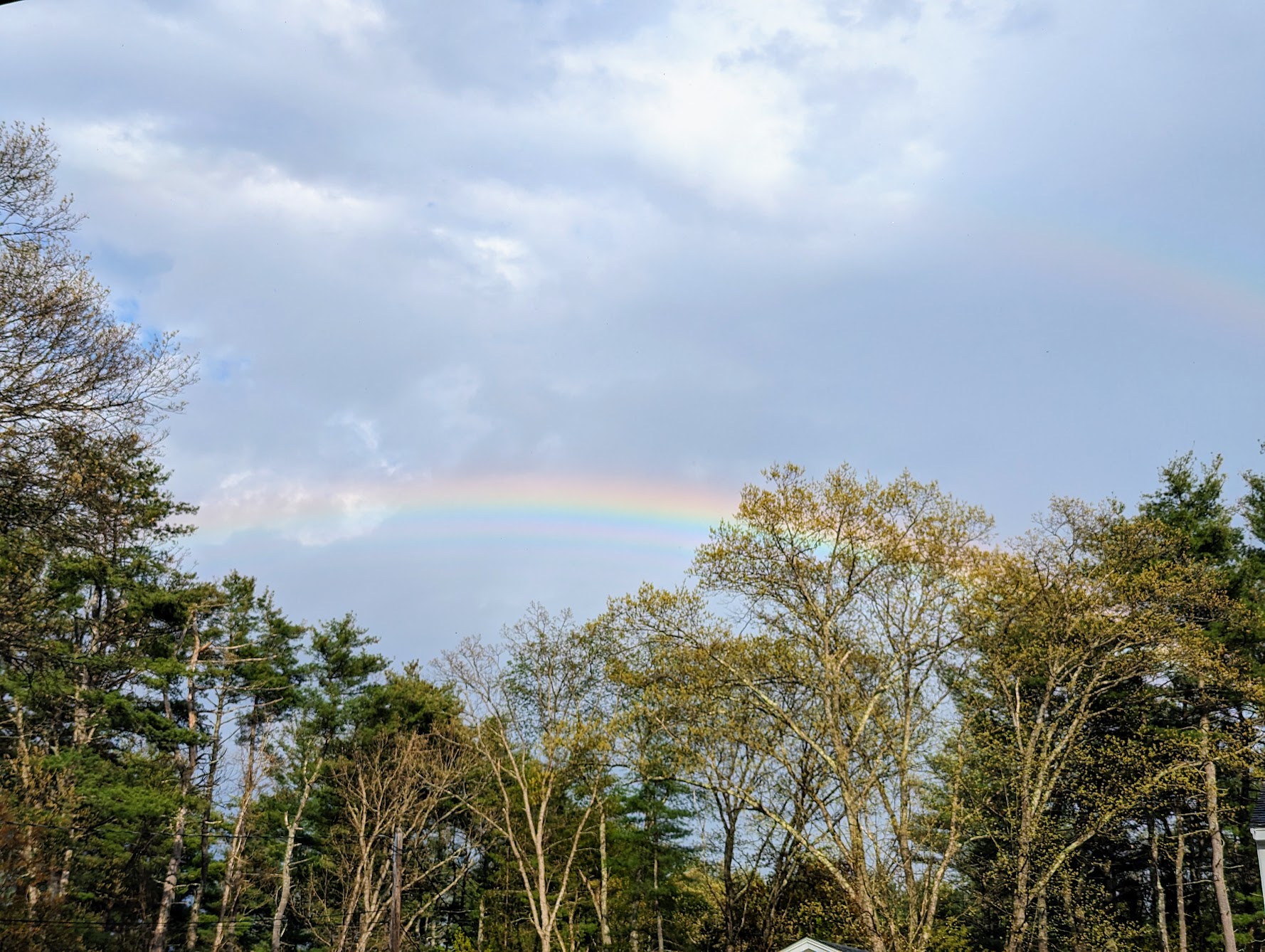 Springy Rainbow