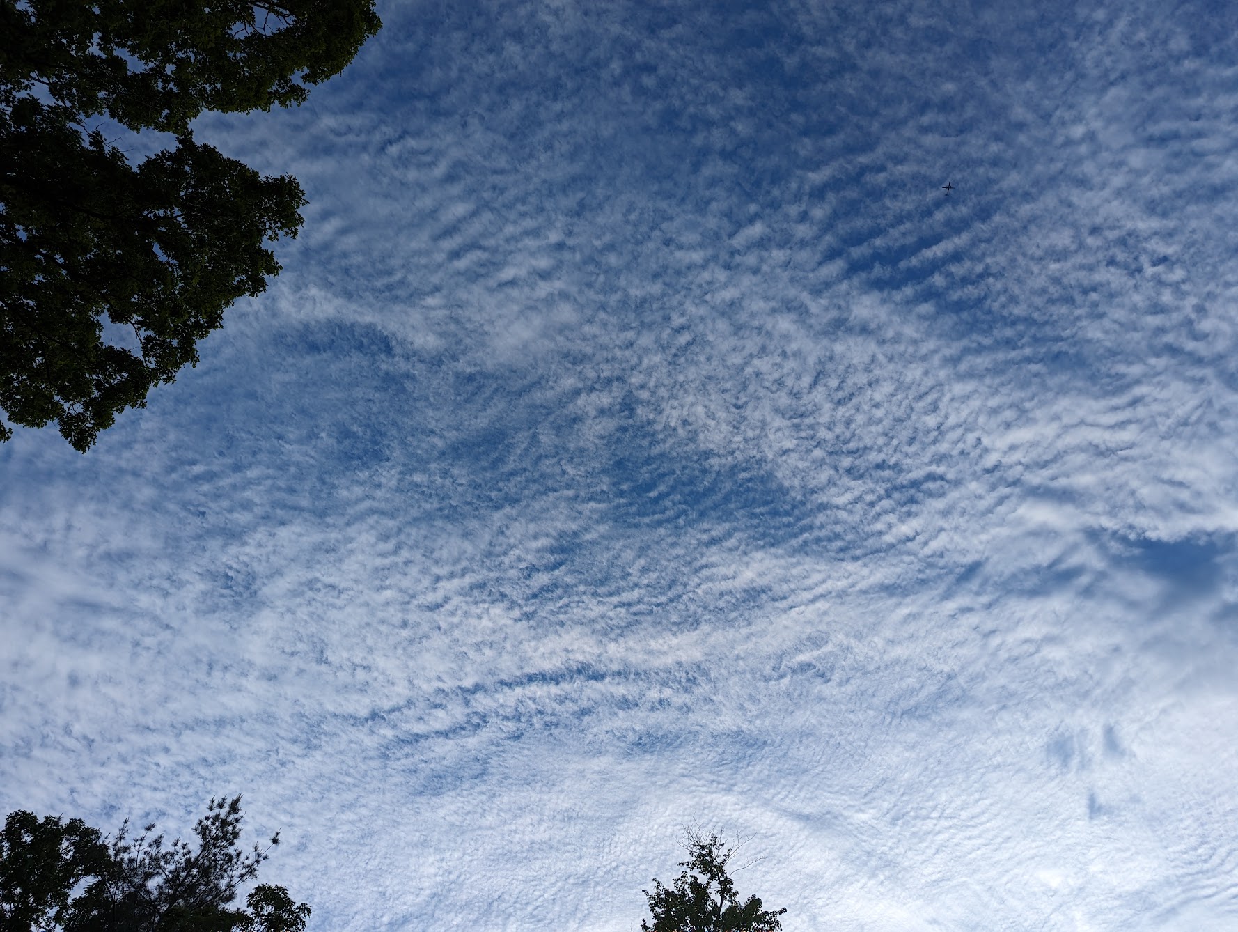 Looking up