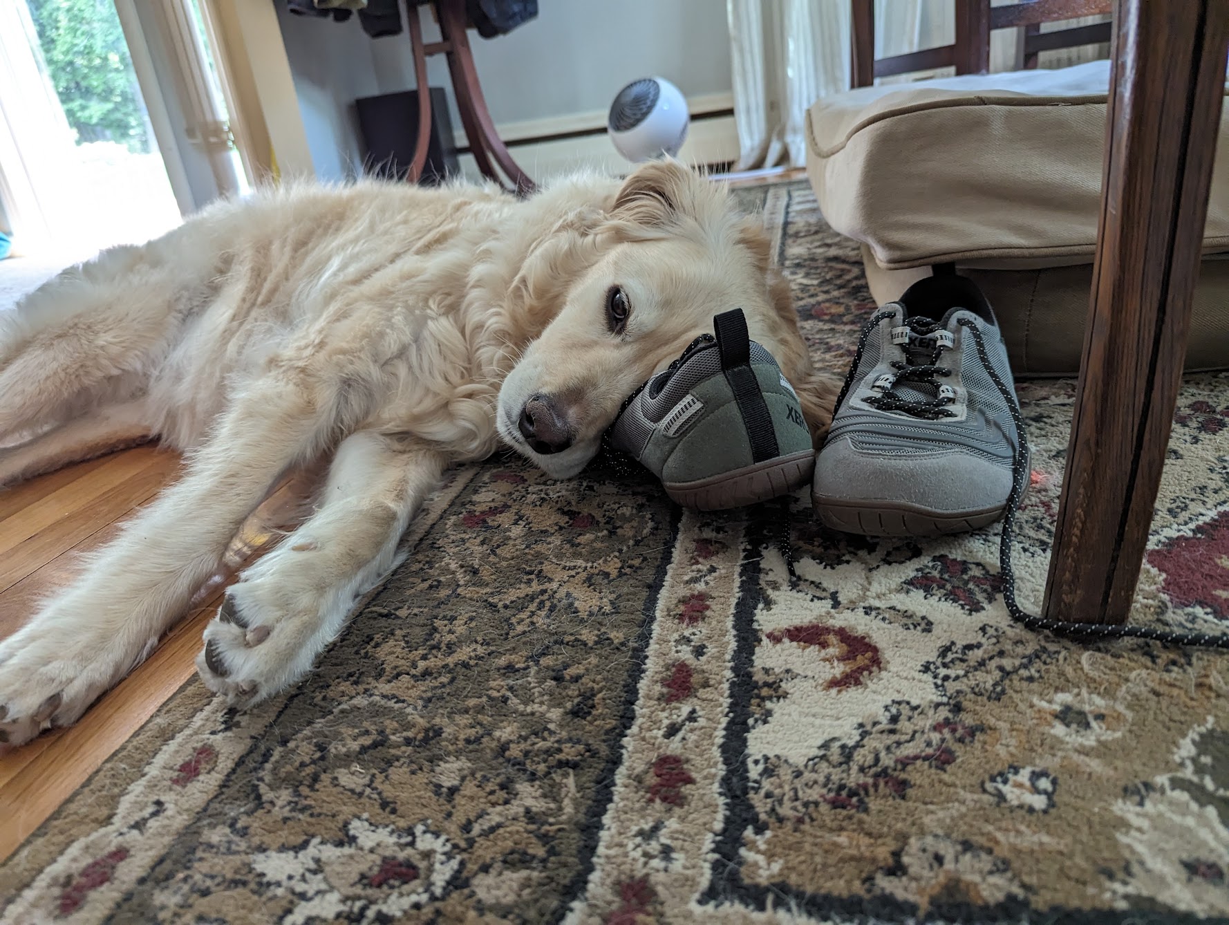 Comfy shoes