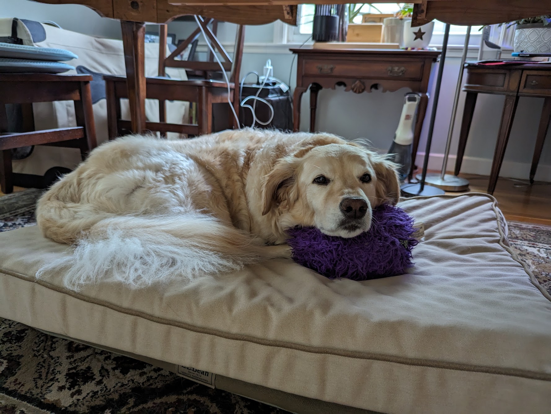 Pillow Improvement