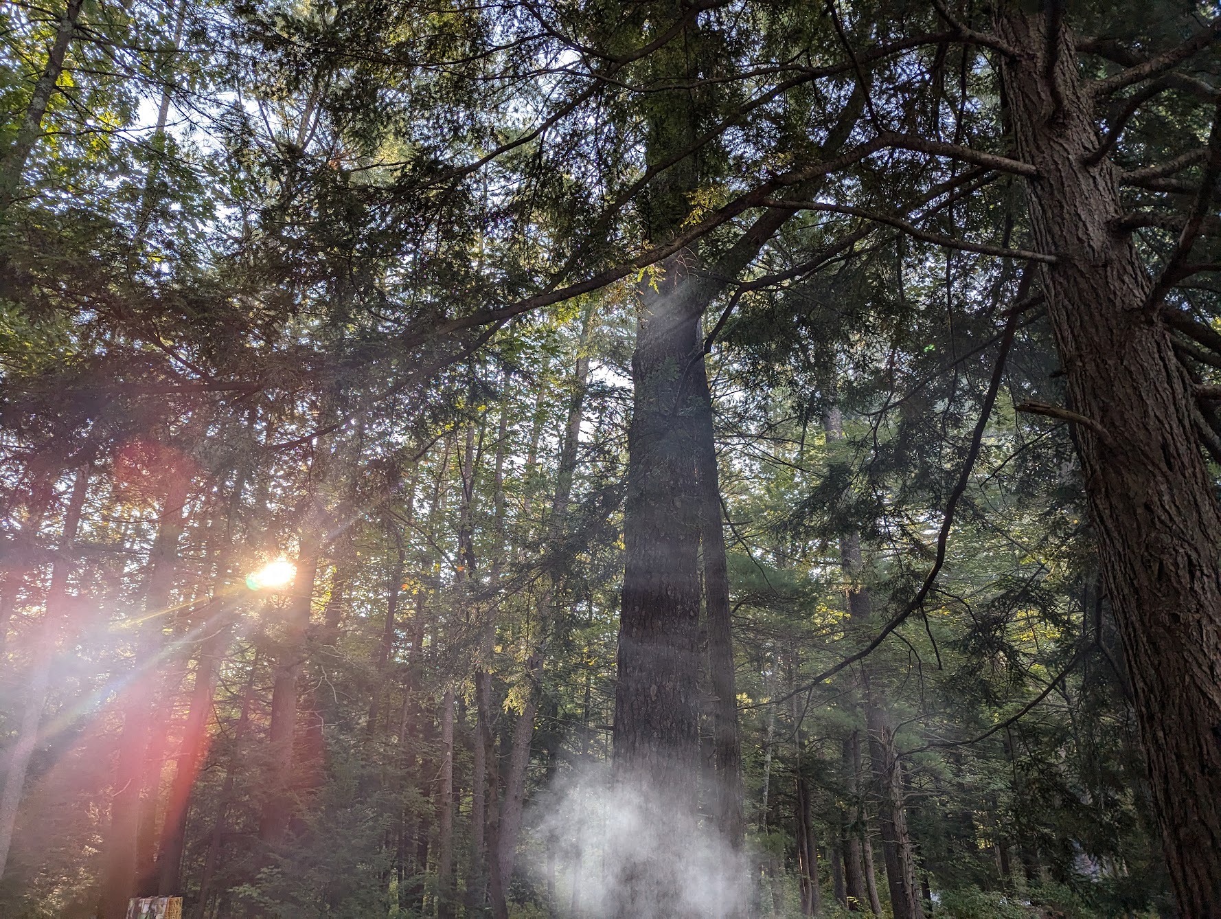 Camp Morning