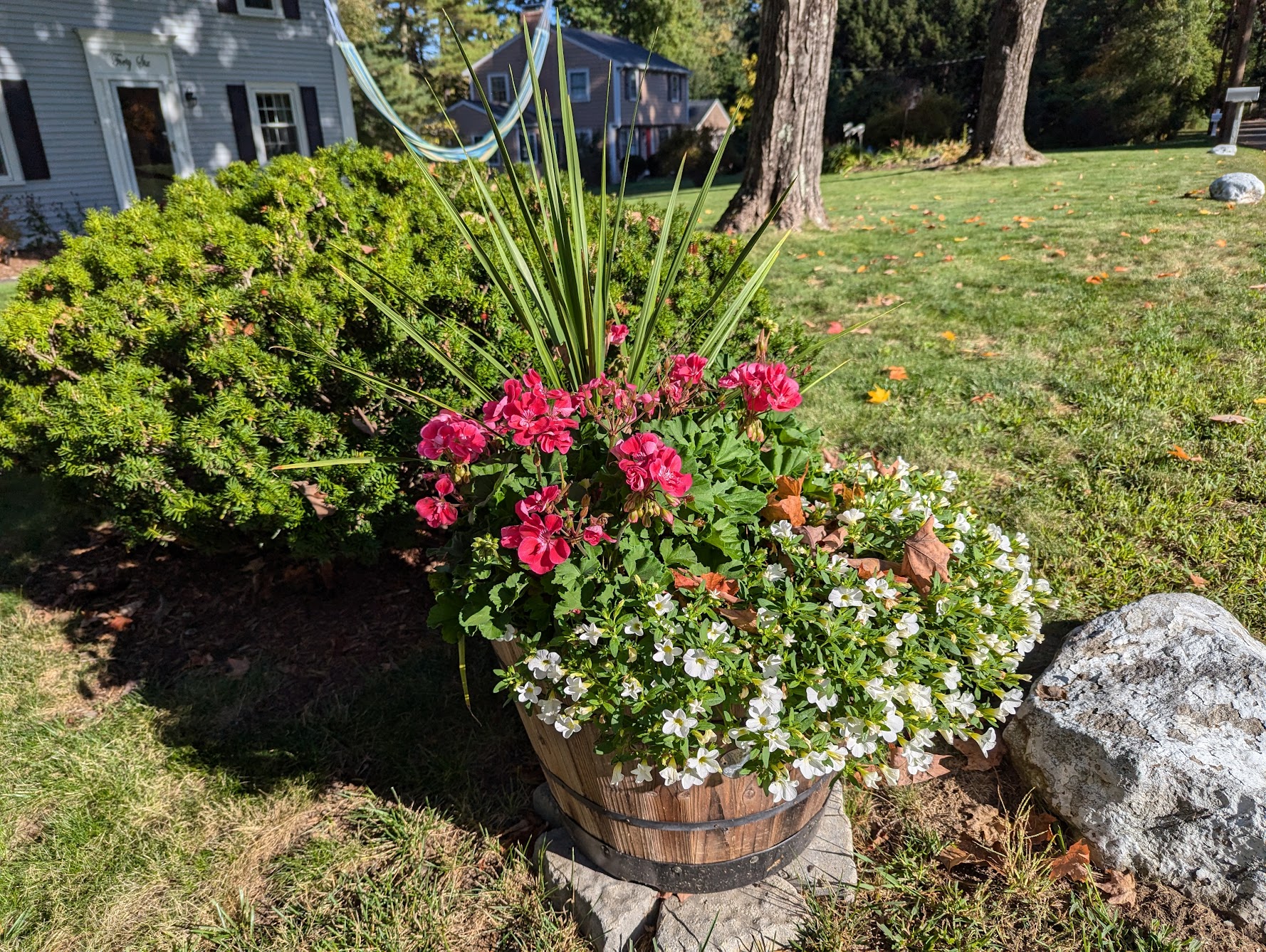 Speaking of flowers