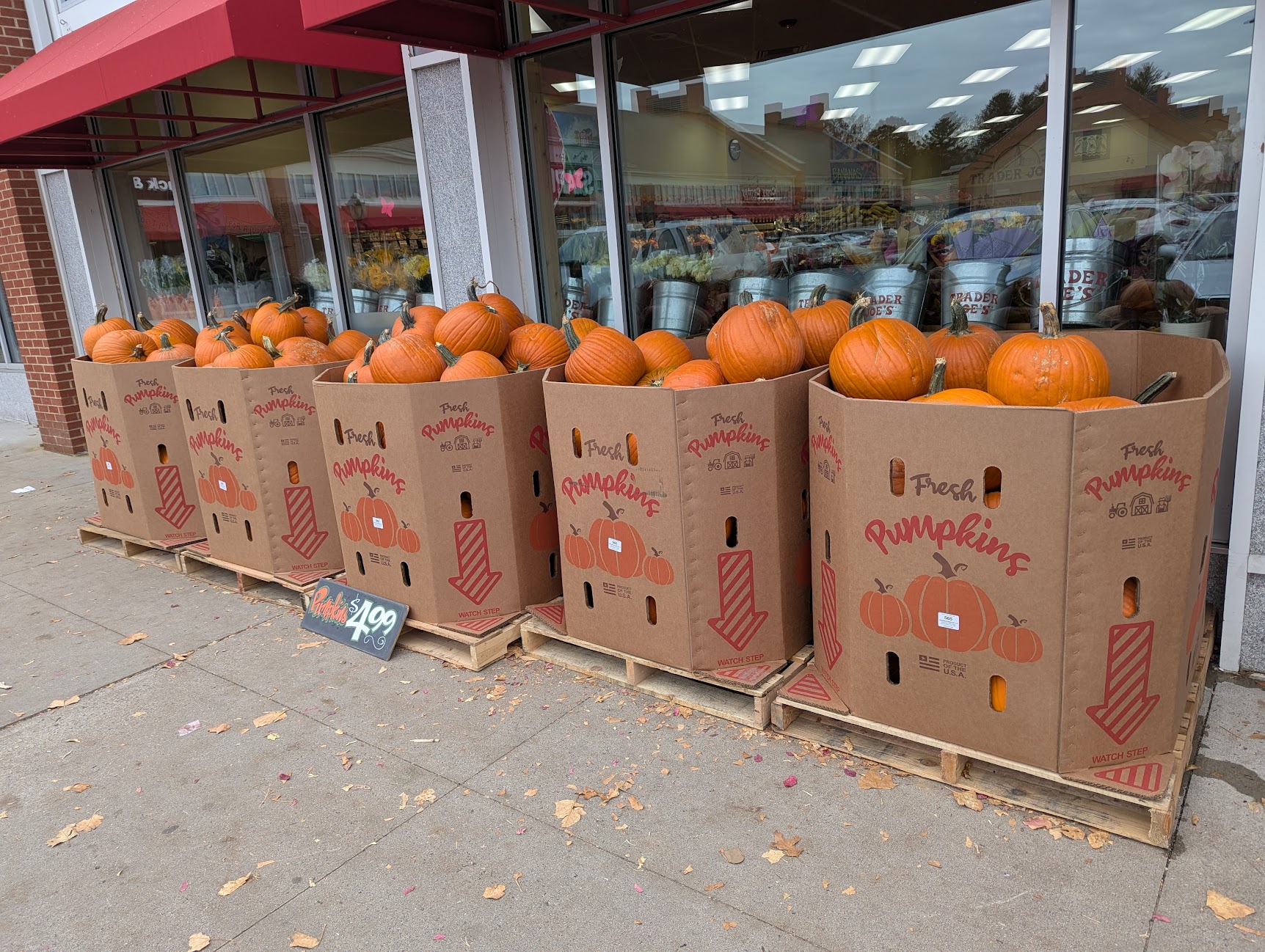 Pumpkin Deal