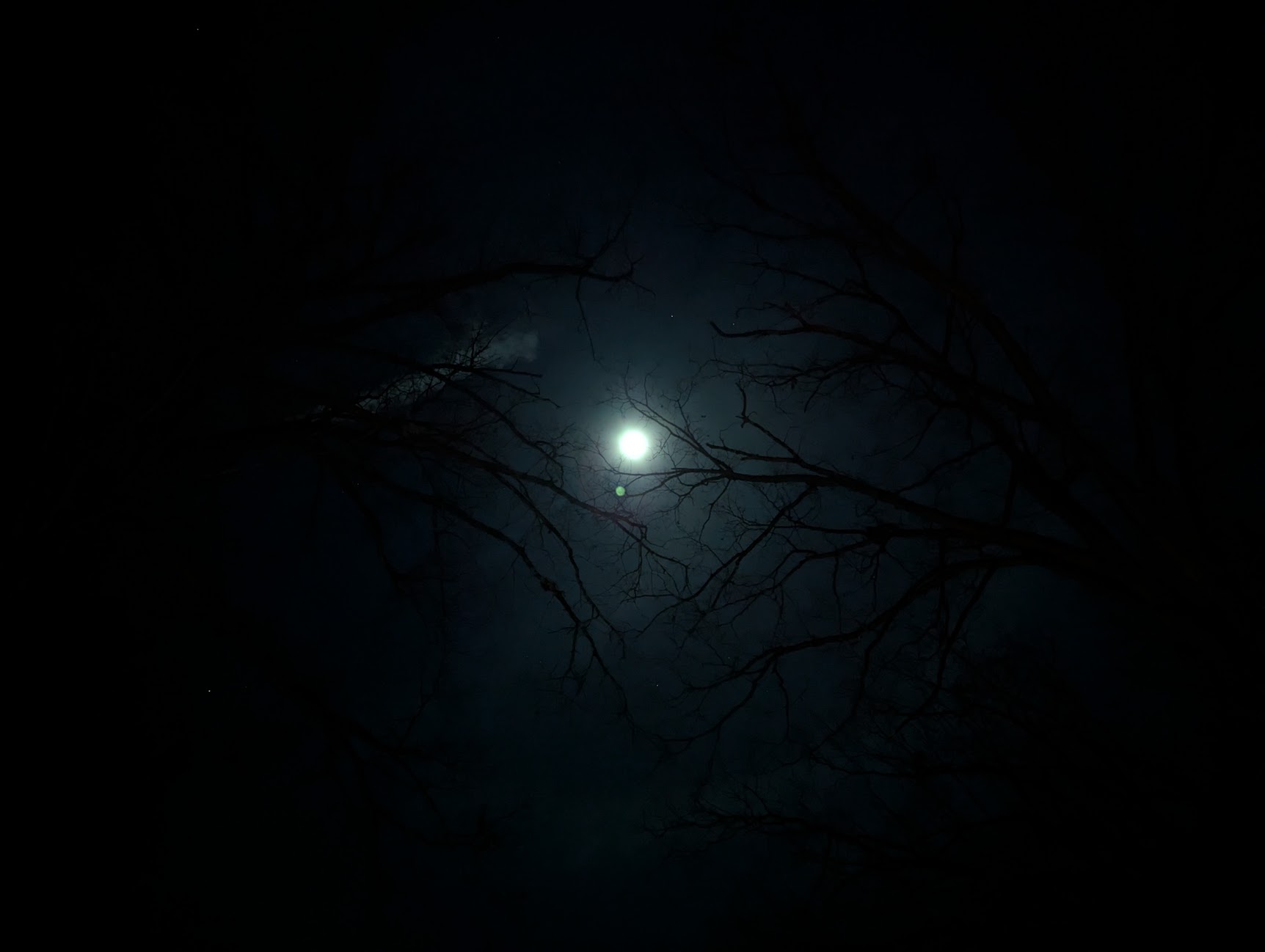 Beaver Moon