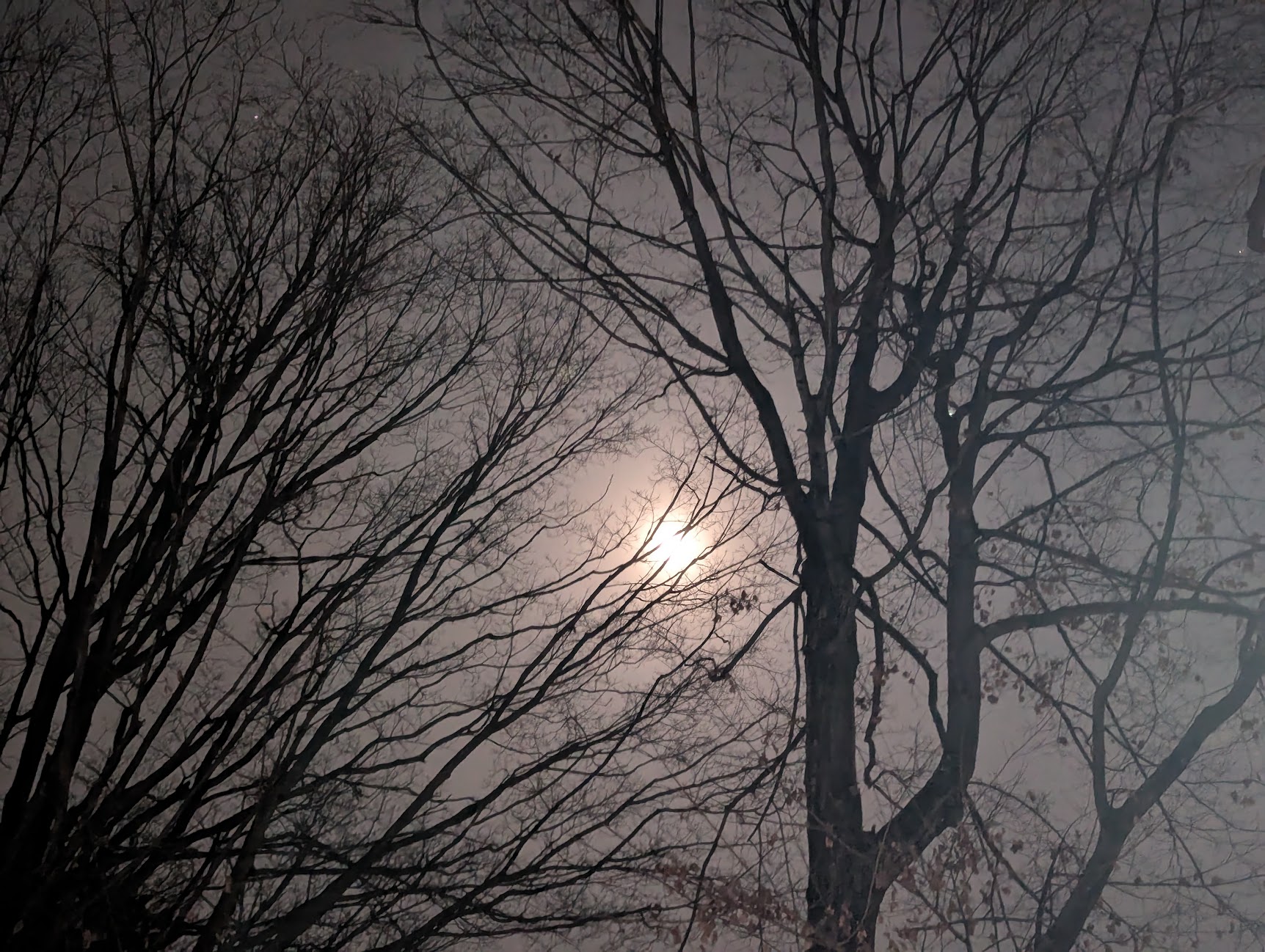 More Night Sight