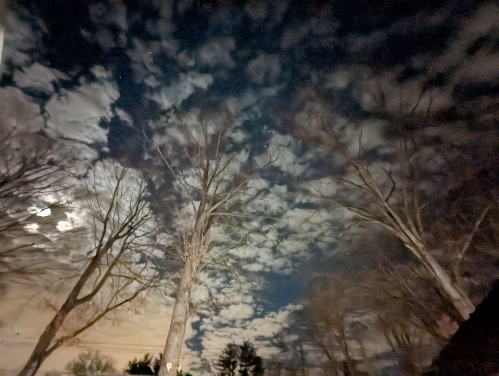 November Nights