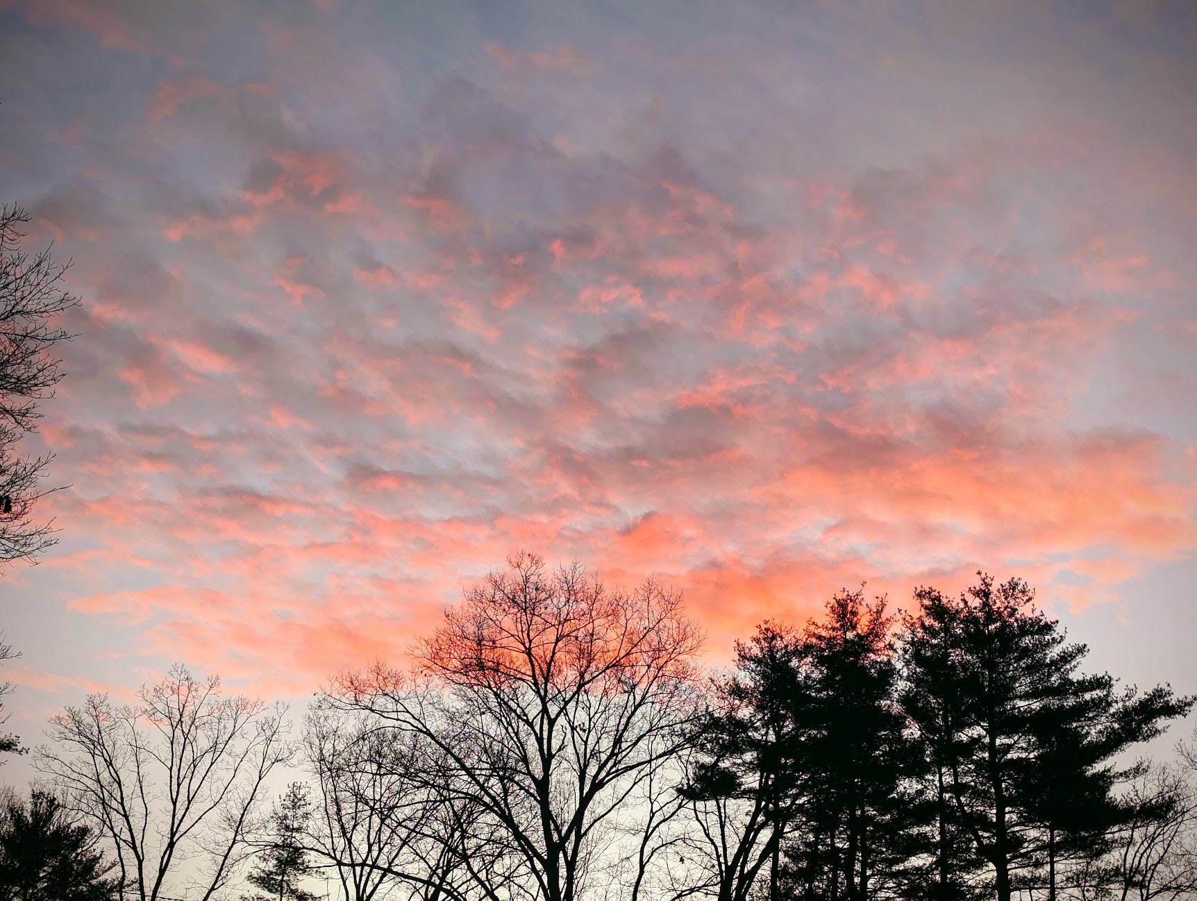 Red Sky at Morn?