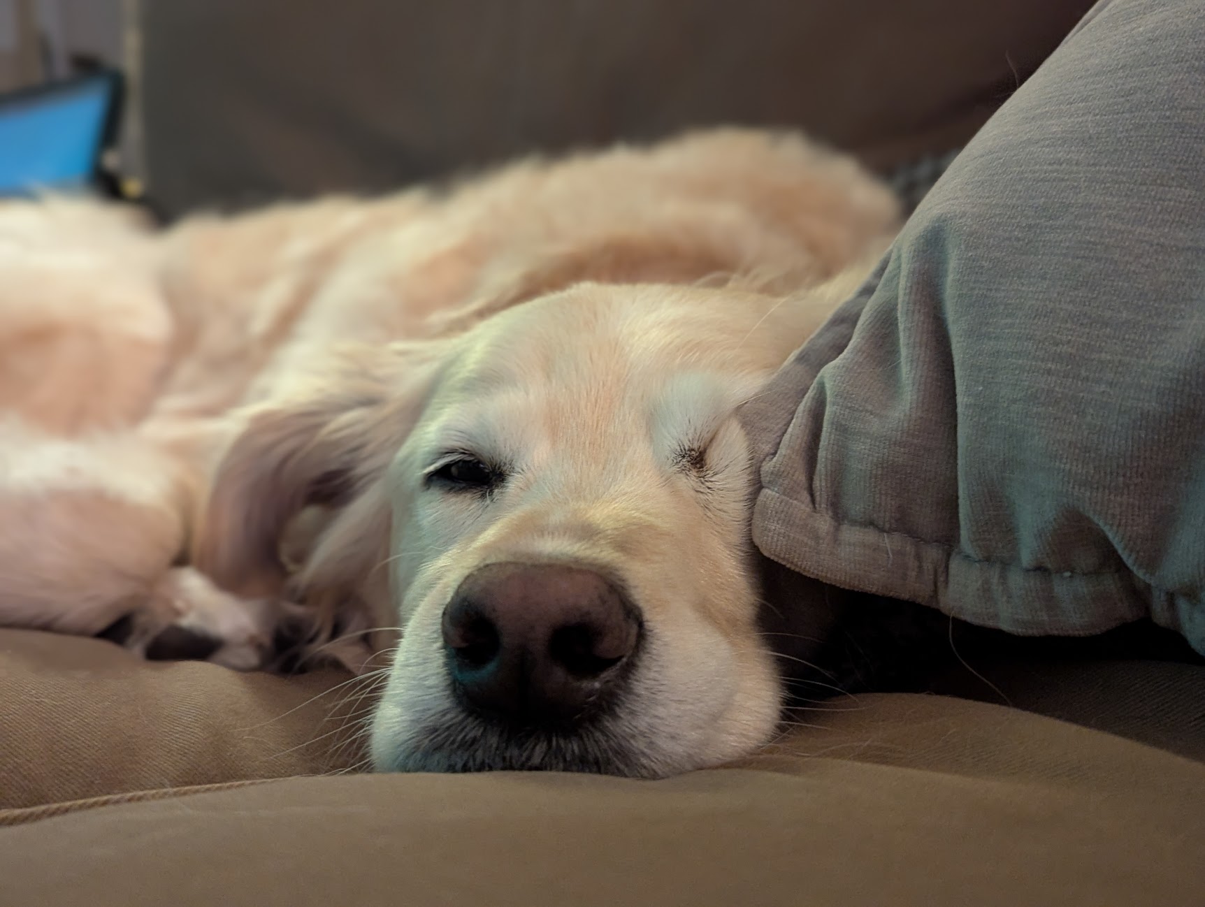 Smoosh