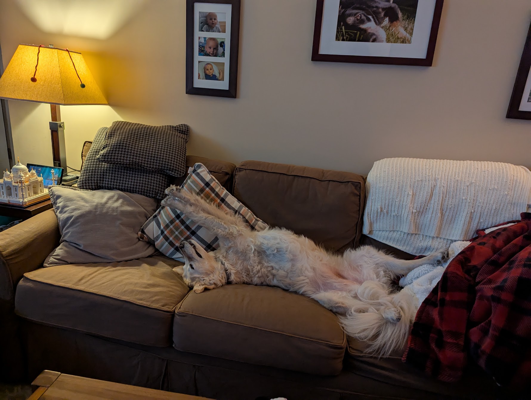 Queen of the Couch