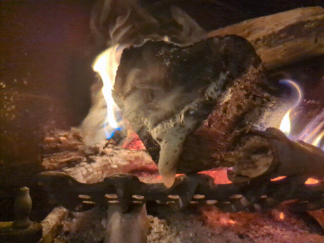 Bad Log