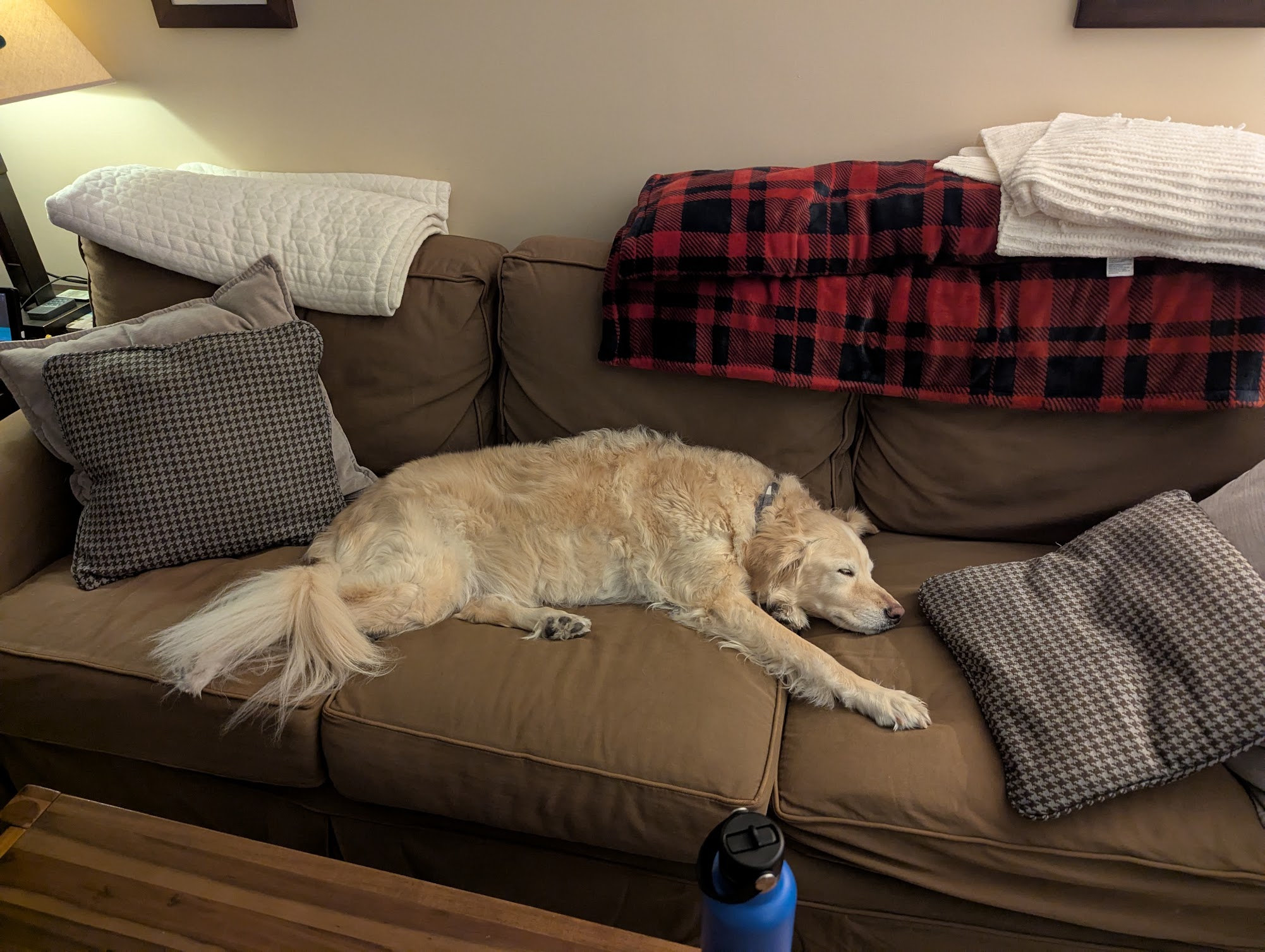 Couch Ownership