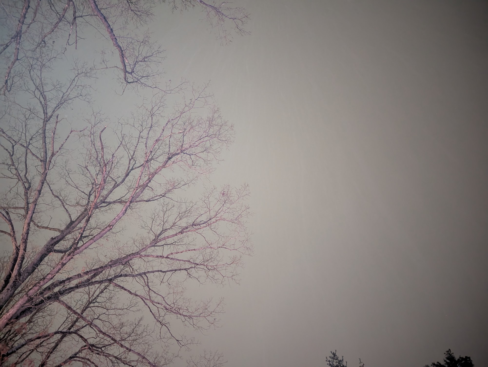 Kinda Blah Snow