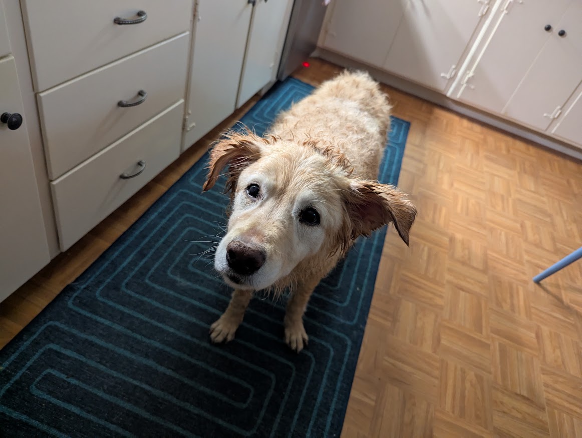 No one likes the dentist